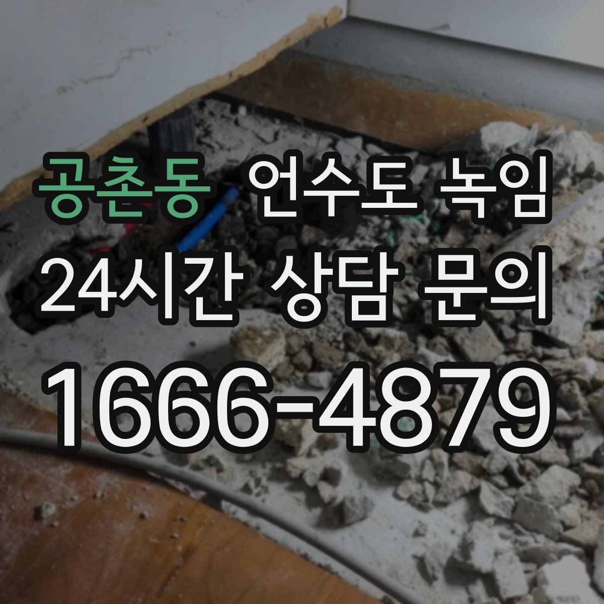 공촌동 언수도 녹임