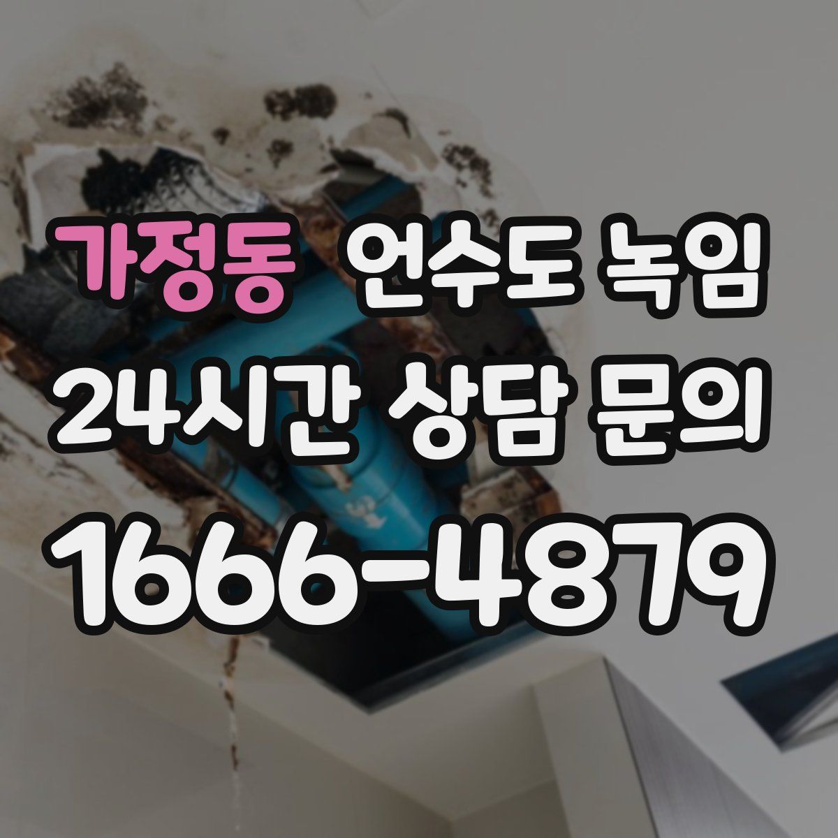 가정동 언수도 녹임