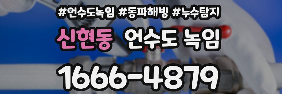 신현동 언수도 녹임