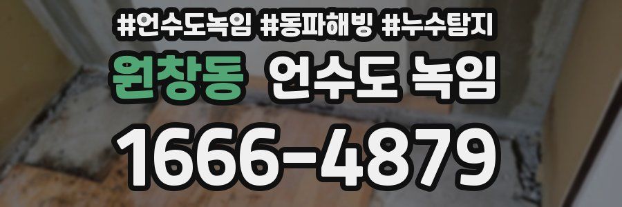 원창동 언수도 녹임