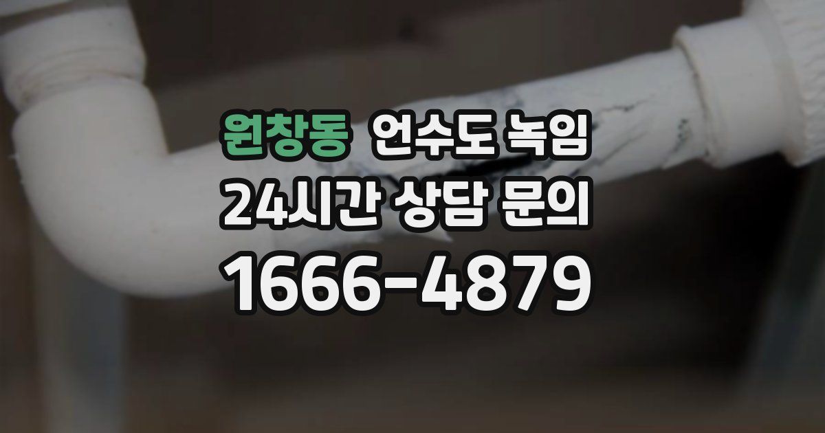 원창동 언수도 녹임