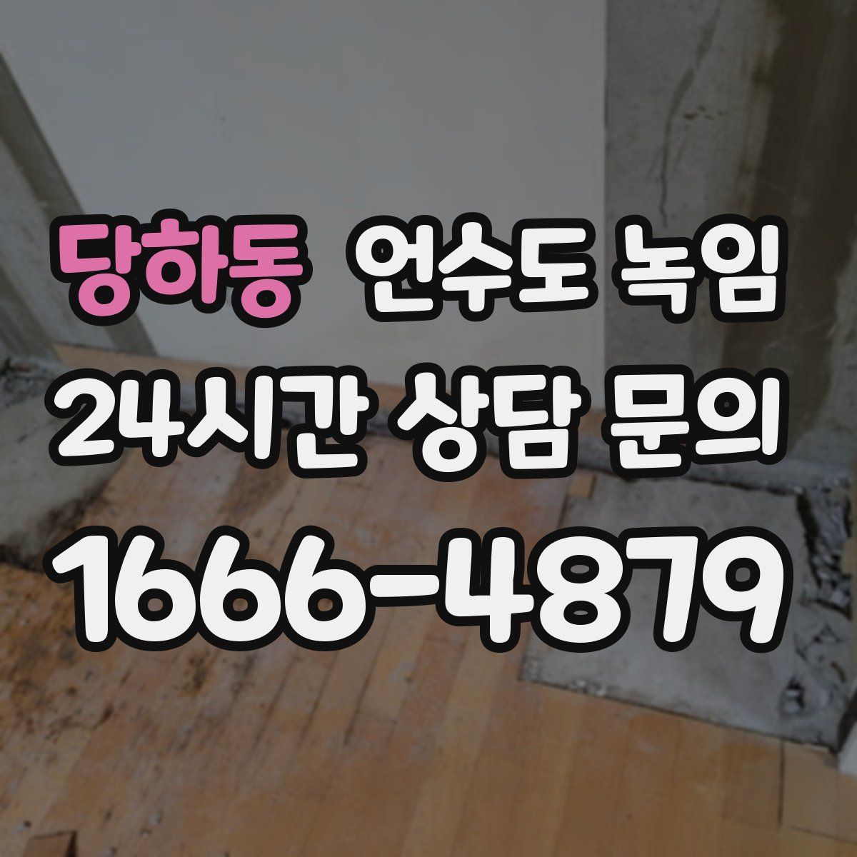 당하동 언수도 녹임