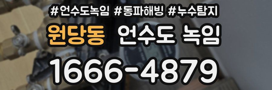 원당동 언수도 녹임