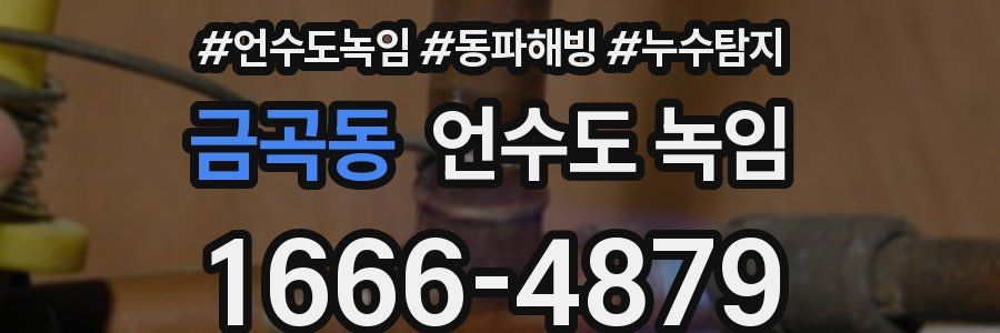 금곡동 언수도 녹임