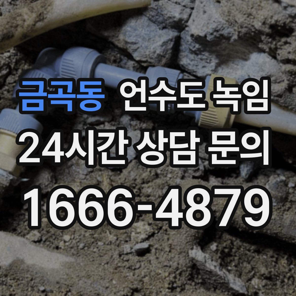 금곡동 언수도 녹임