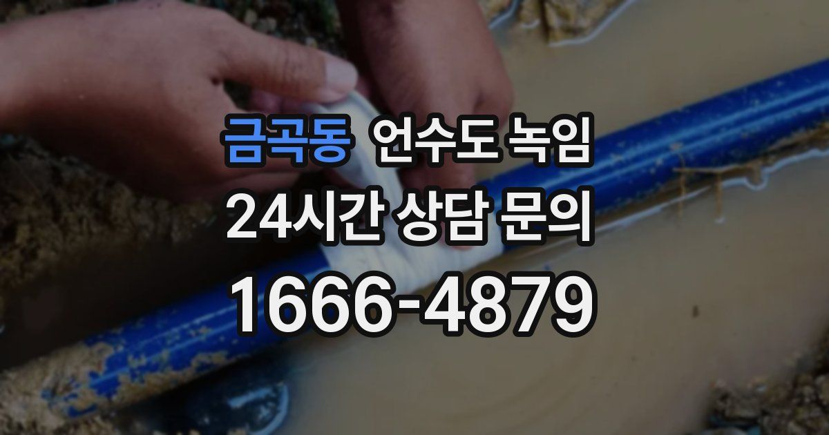 금곡동 언수도 녹임