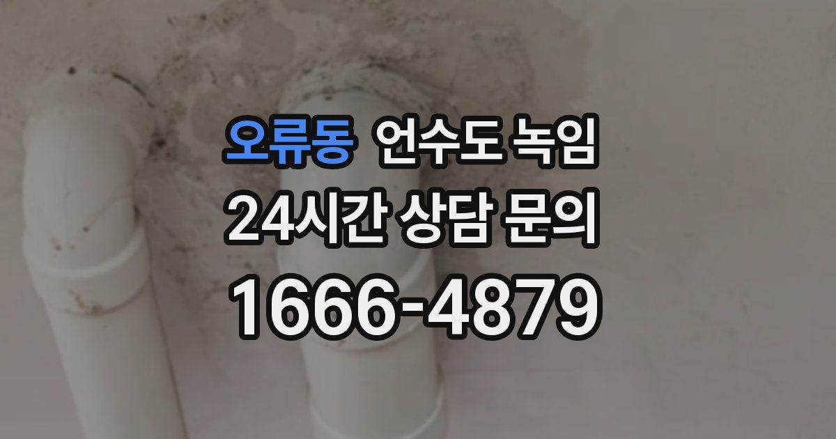 오류동 언수도 녹임