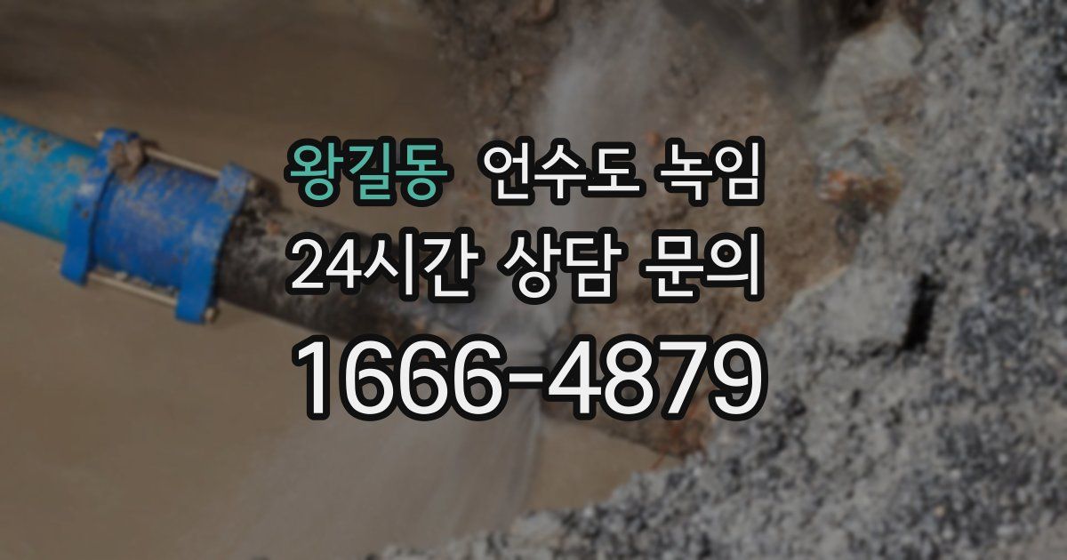 왕길동 언수도 녹임