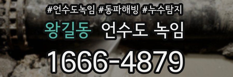 왕길동 언수도 녹임