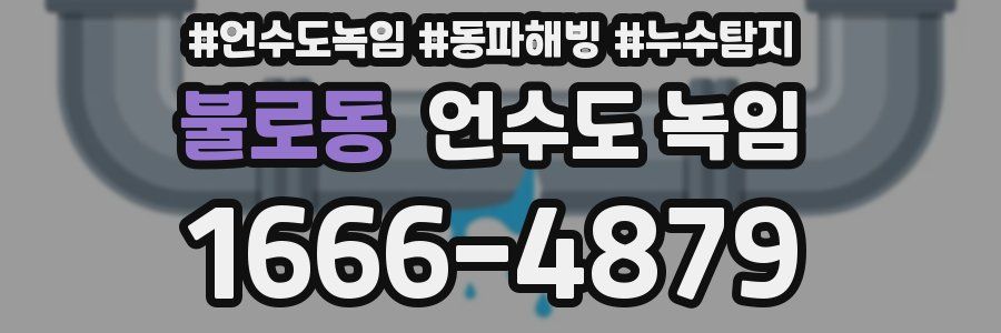 불로동 언수도 녹임