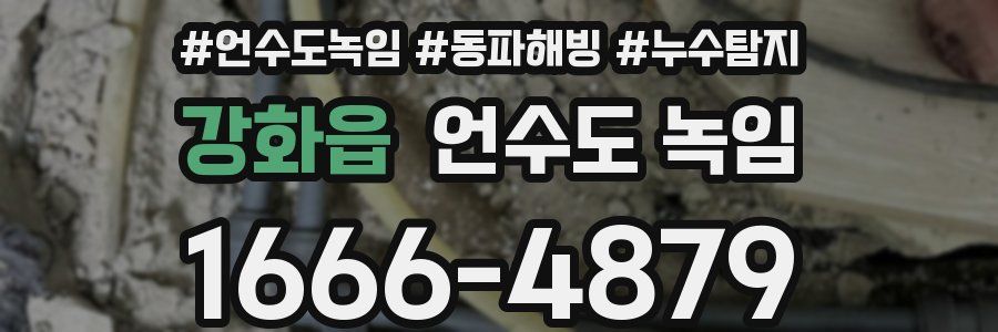 강화읍 언수도 녹임