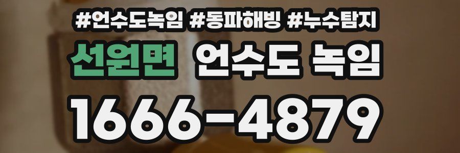 선원면 언수도 녹임