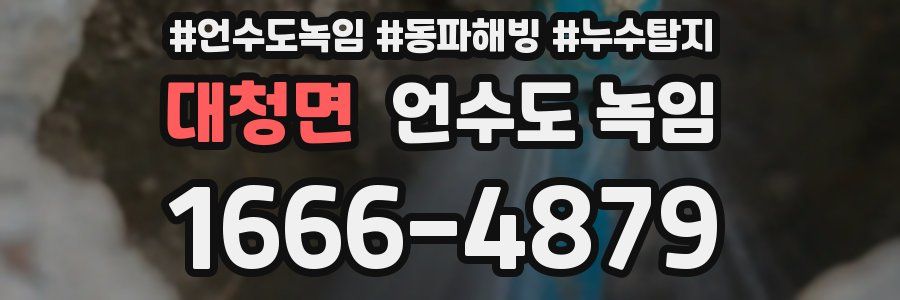 대청면 언수도 녹임