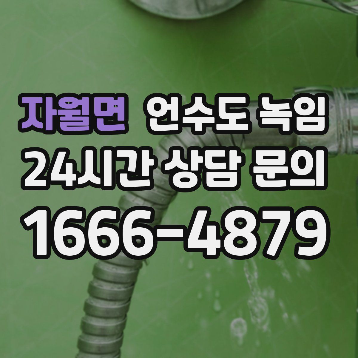 자월면 언수도 녹임