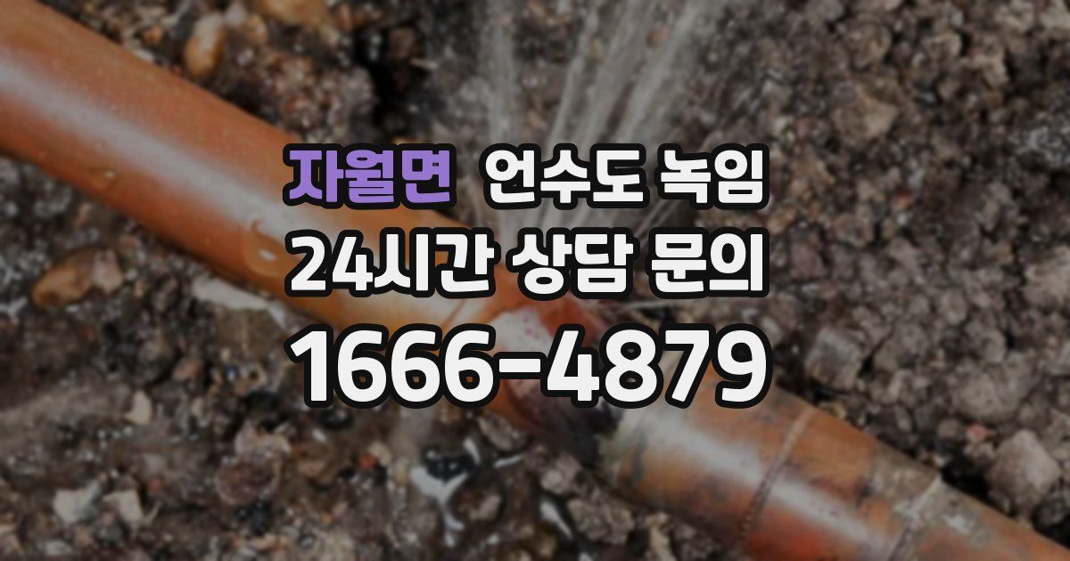 자월면 언수도 녹임