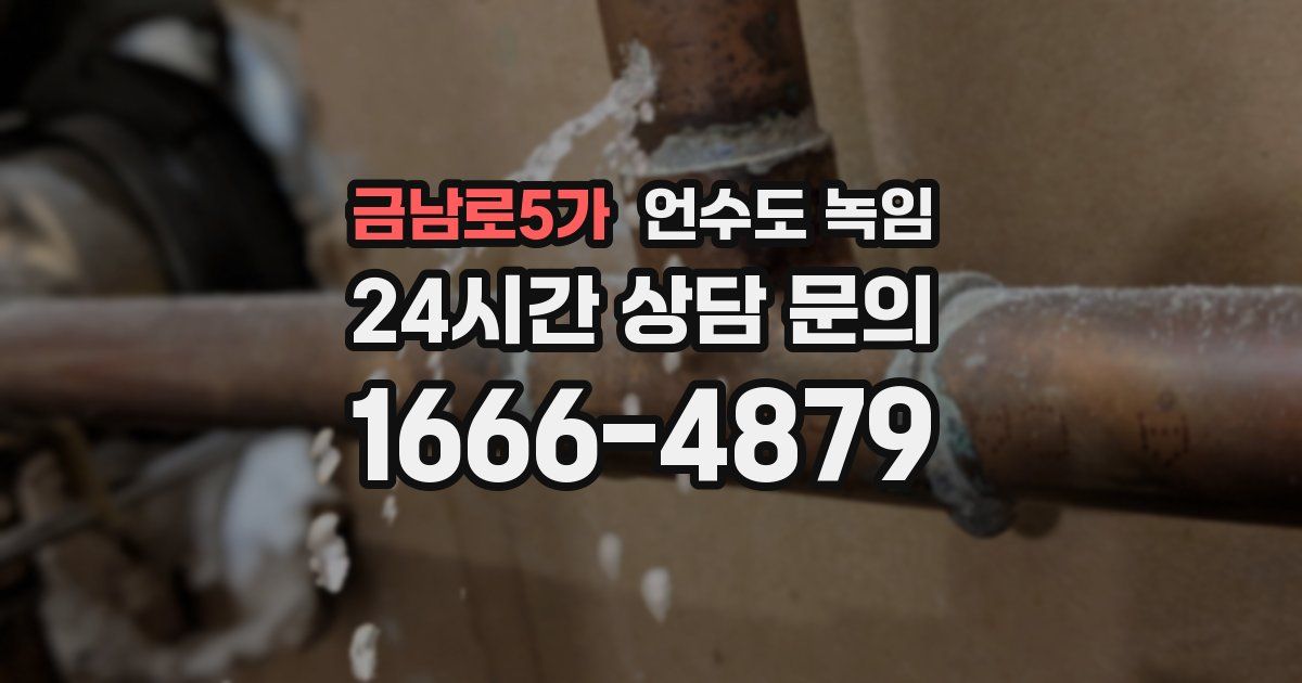 금남로5가 언수도 녹임