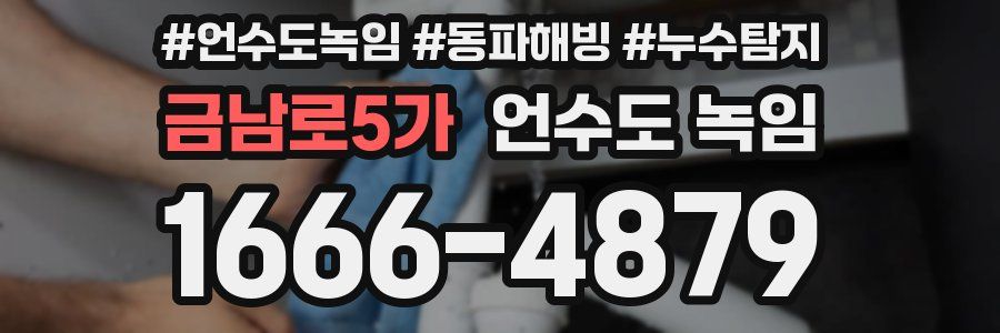 금남로5가 언수도 녹임