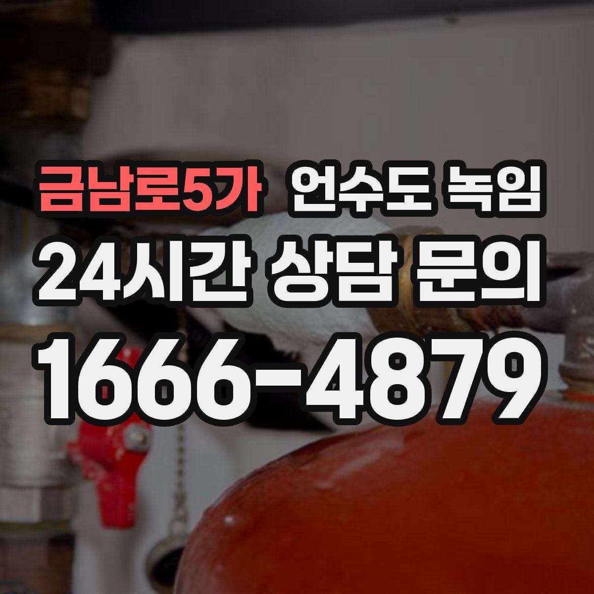 금남로5가 언수도 녹임