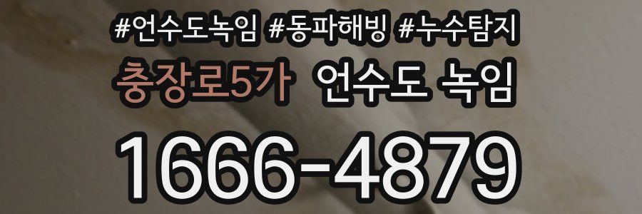 충장로5가 언수도 녹임