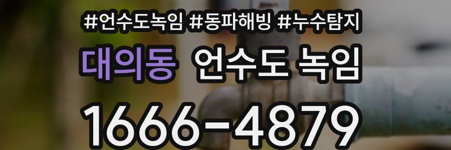 대의동 언수도 녹임