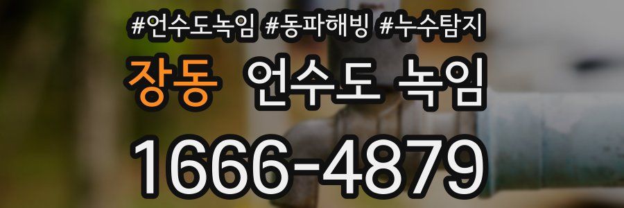 장동 언수도 녹임