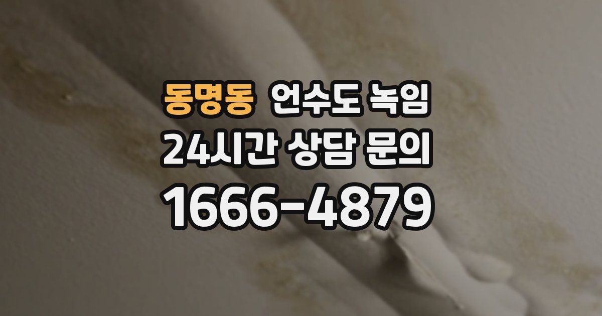 동명동 언수도 녹임