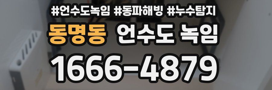 동명동 언수도 녹임