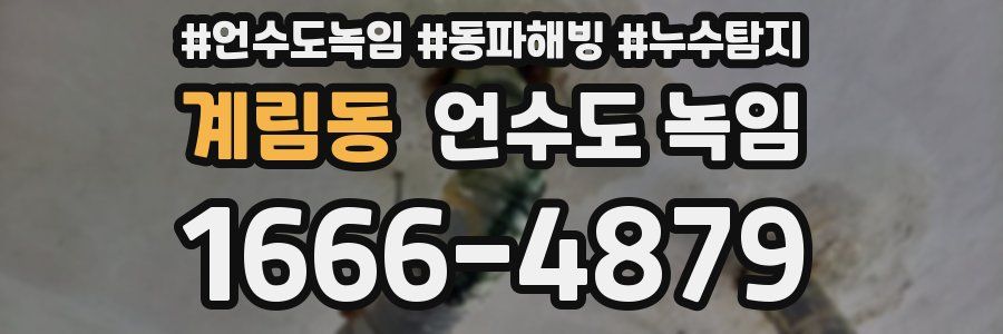 계림동 언수도 녹임