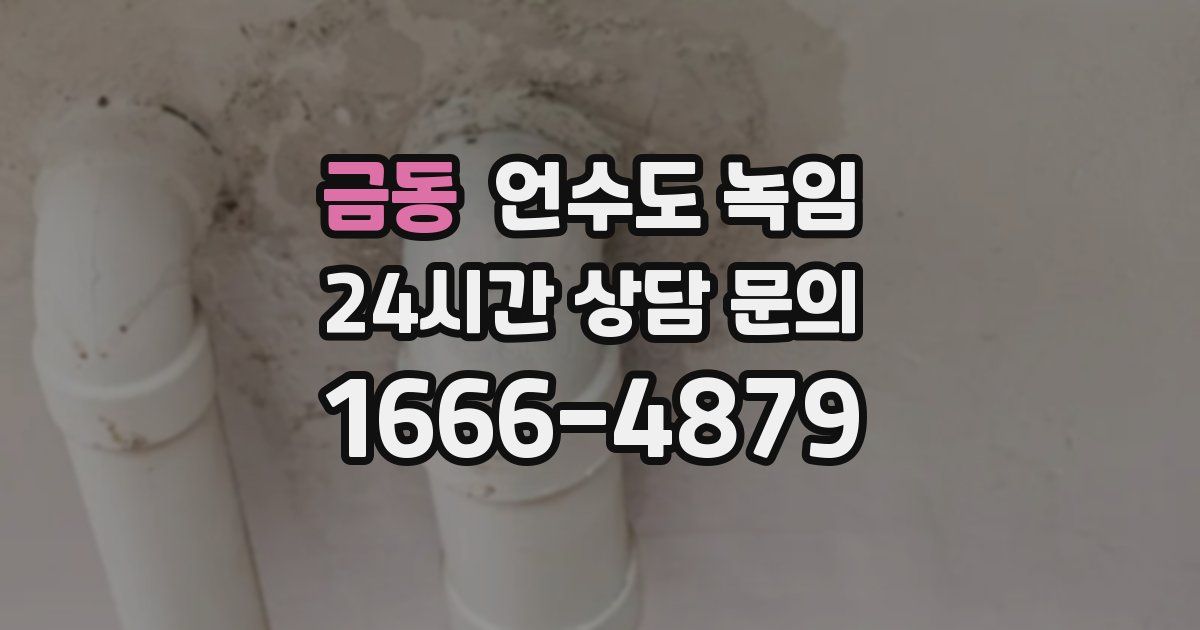 금동 언수도 녹임