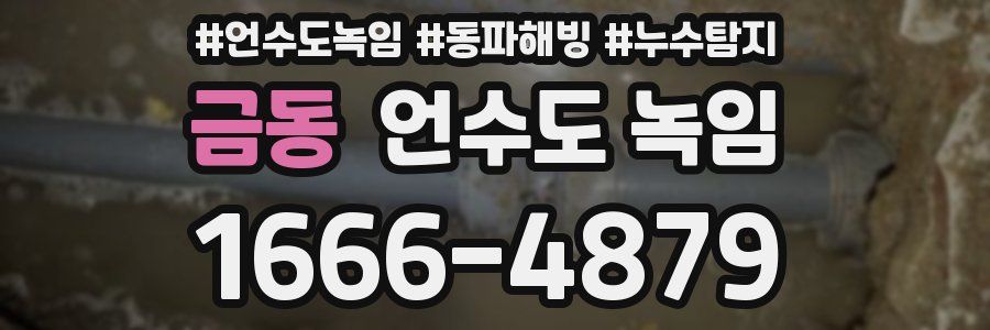 금동 언수도 녹임