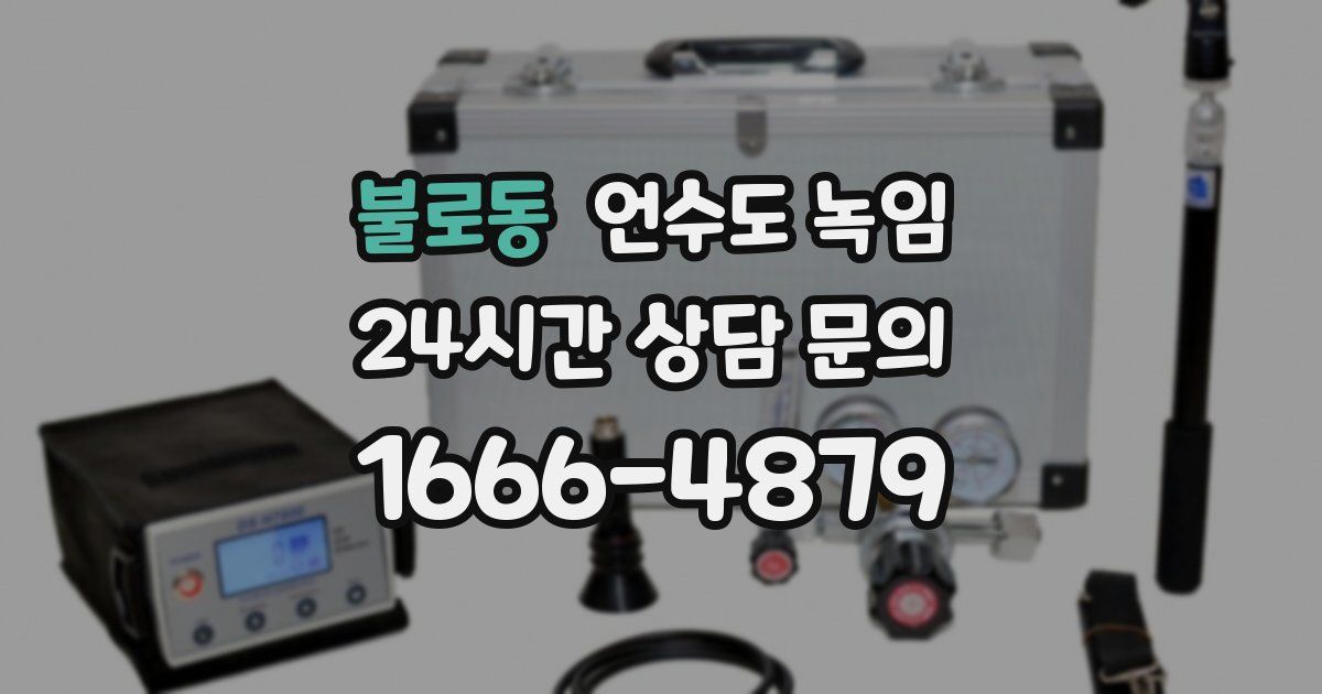 불로동 언수도 녹임