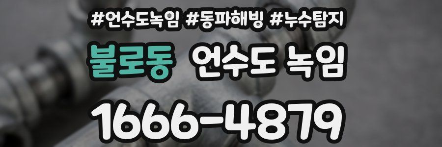 불로동 언수도 녹임