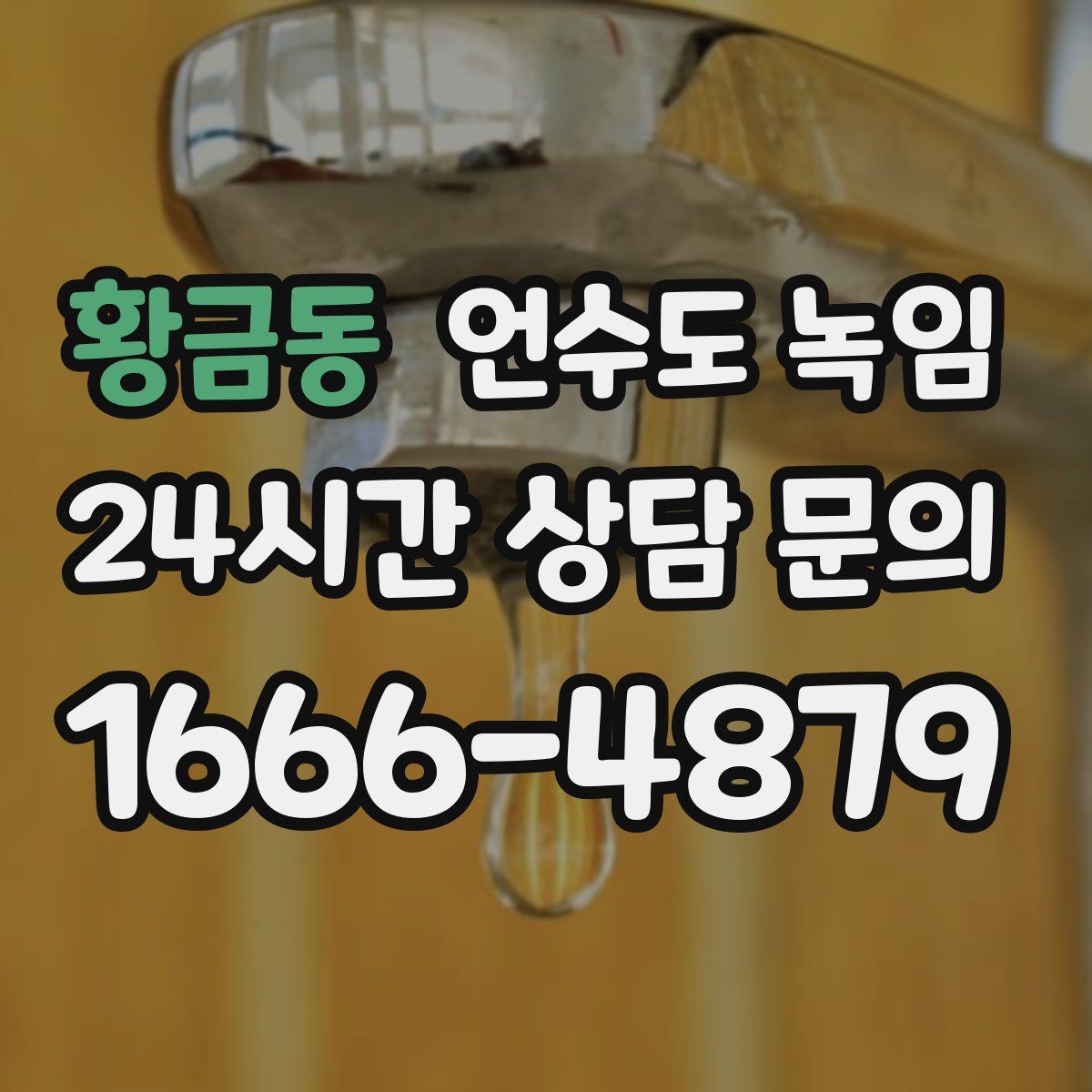 황금동 언수도 녹임