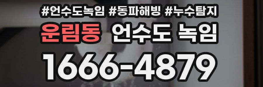 운림동 언수도 녹임