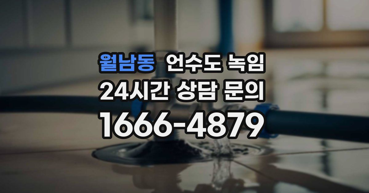 월남동 언수도 녹임