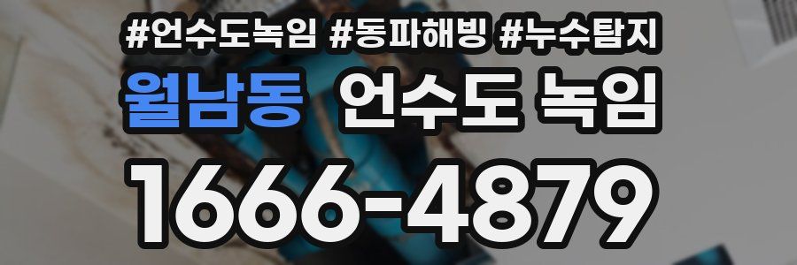 월남동 언수도 녹임