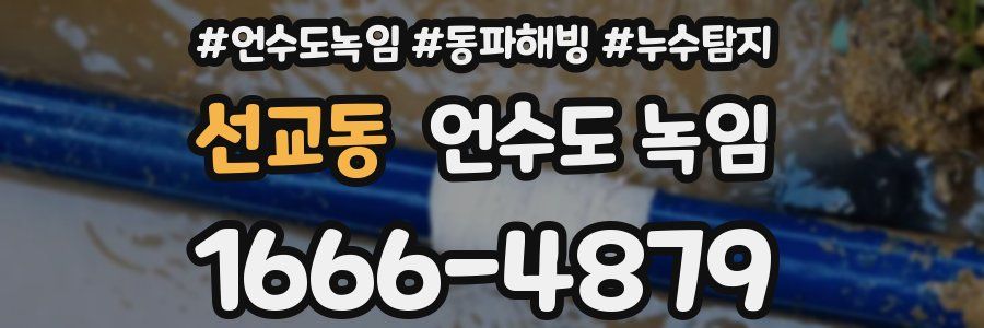 선교동 언수도 녹임