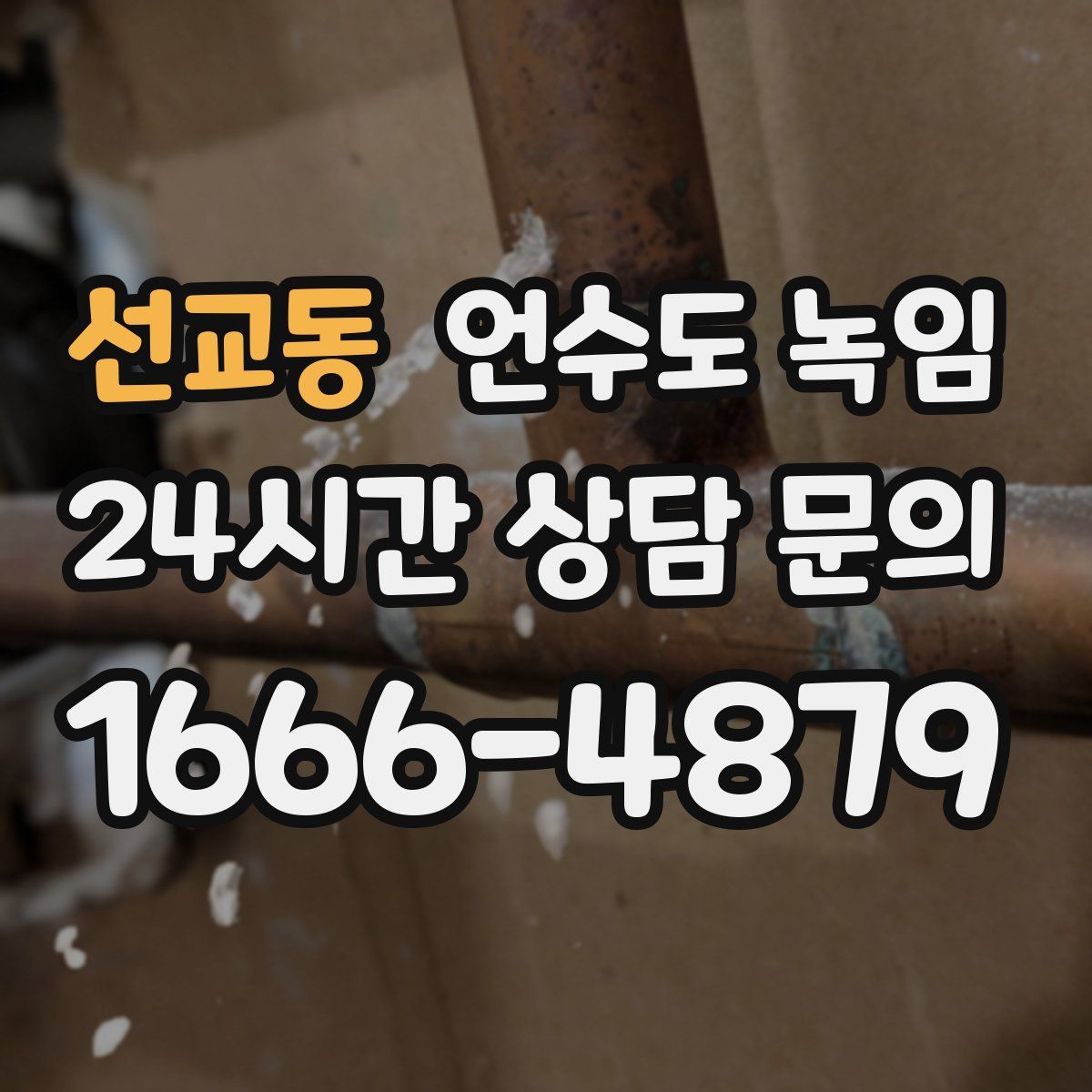 선교동 언수도 녹임