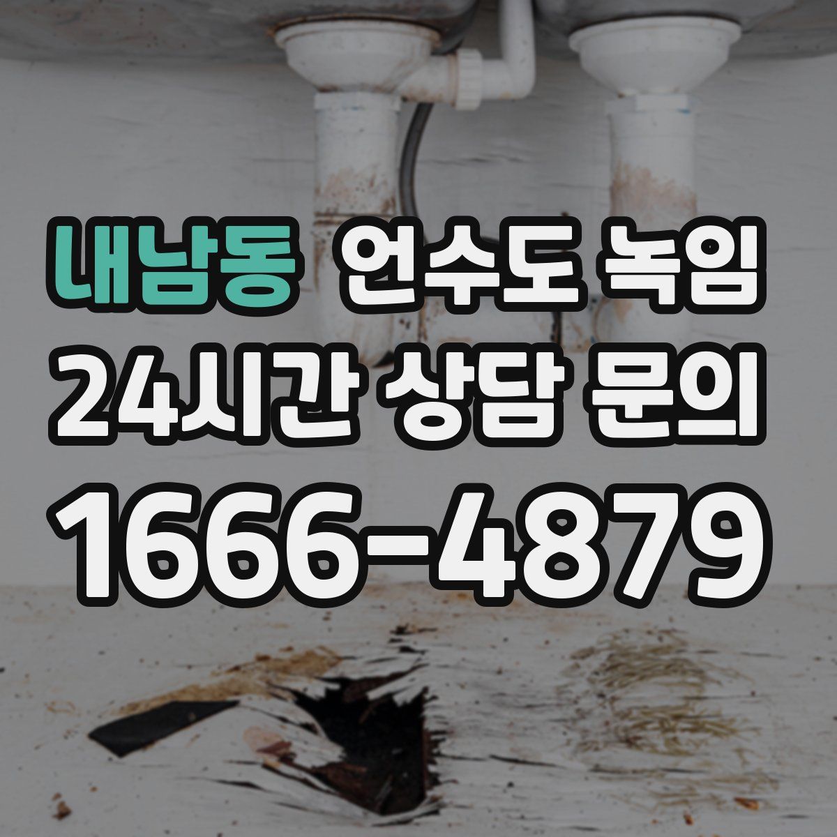 내남동 언수도 녹임
