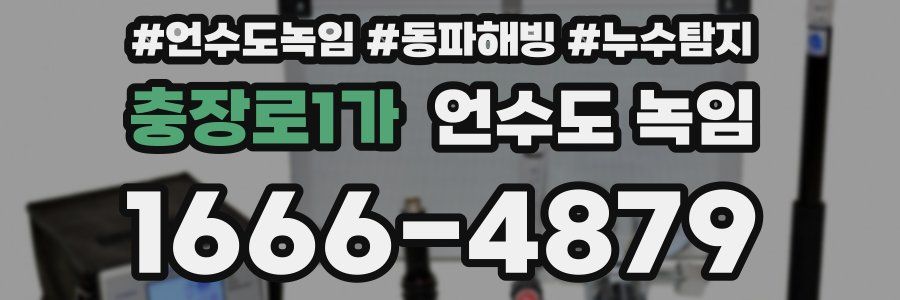 충장로1가 언수도 녹임