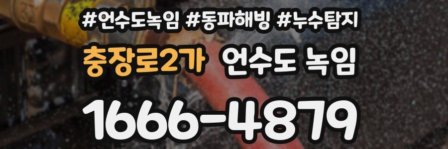 충장로2가 언수도 녹임