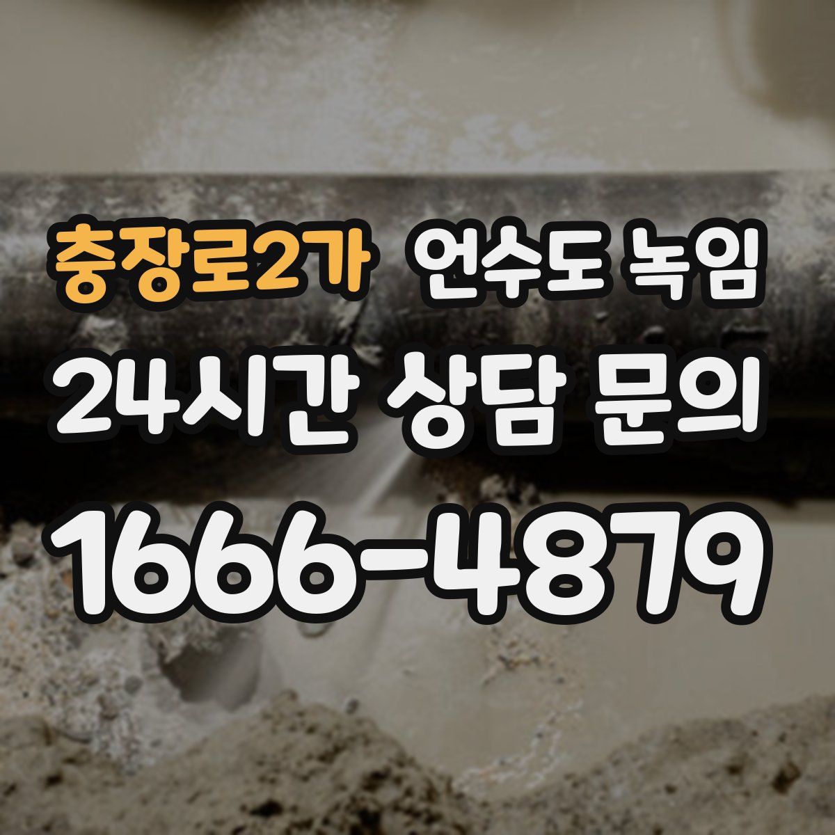 충장로2가 언수도 녹임