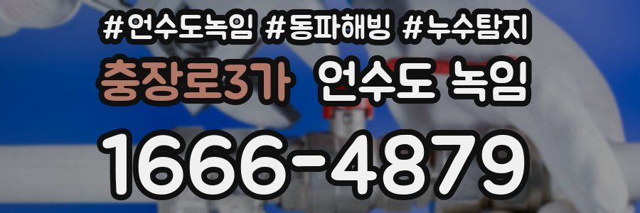 충장로3가 언수도 녹임