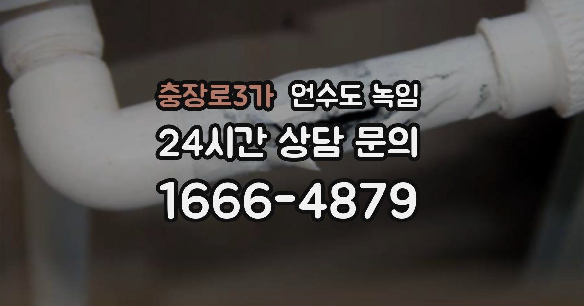 충장로3가 언수도 녹임