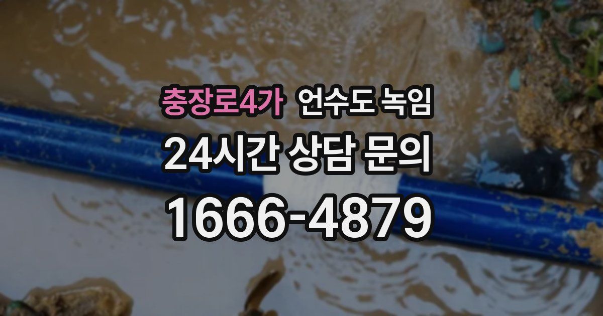 충장로4가 언수도 녹임