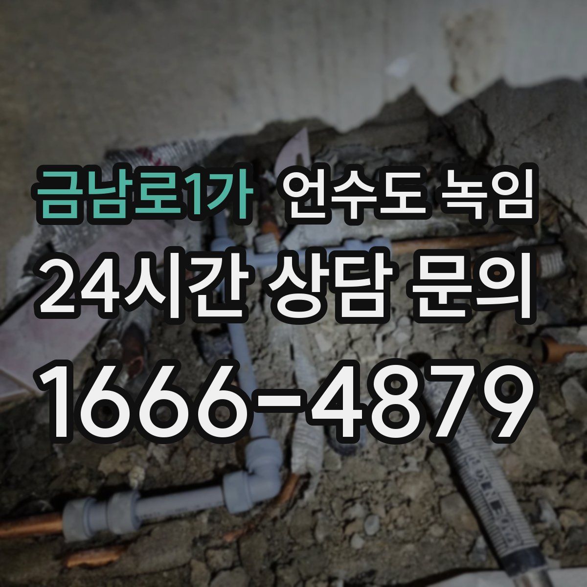 금남로1가 언수도 녹임