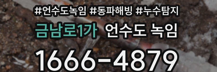 금남로1가 언수도 녹임