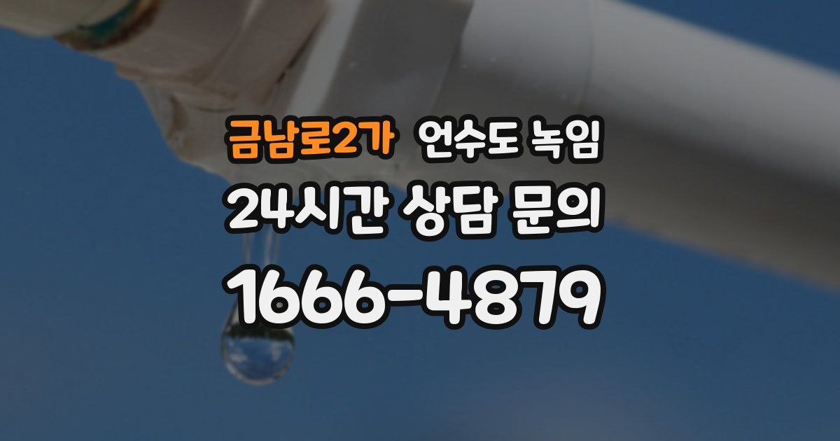 금남로2가 언수도 녹임