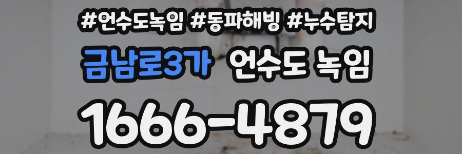 금남로3가 언수도 녹임