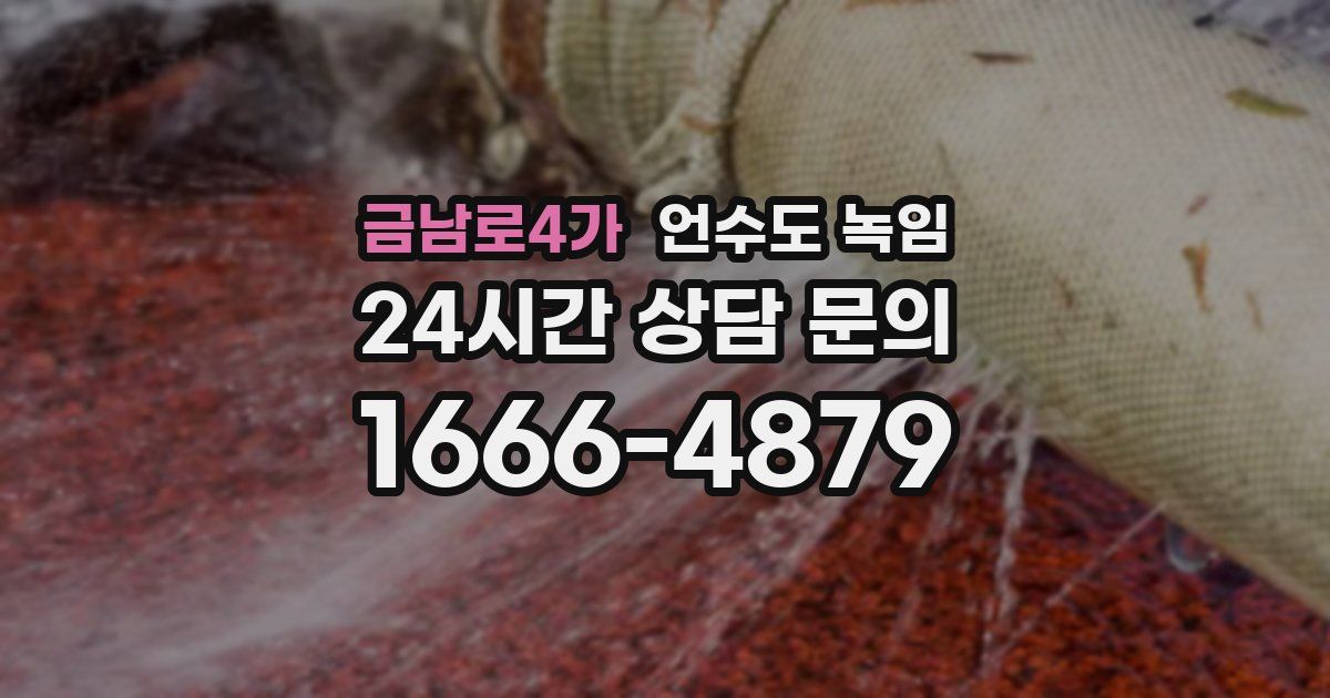 금남로4가 언수도 녹임